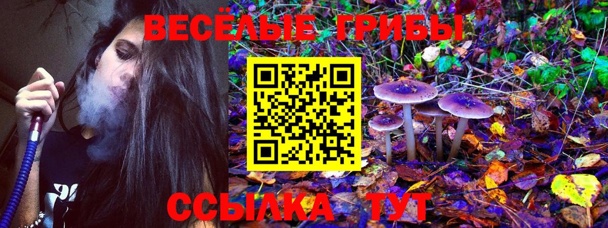 где найти   Вход с VPN  Каменск-Уральский  Галлюциногенные грибы MAGIC MUSHROOMS 